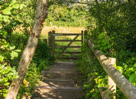 greystones farm nature reserve|GREYSTONES FARM (2024) All You Need to Know .